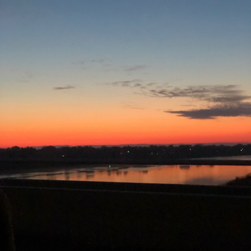 Meet your Posher, Angelica